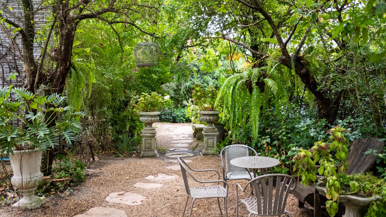 Garden with well-maintained plants and grass