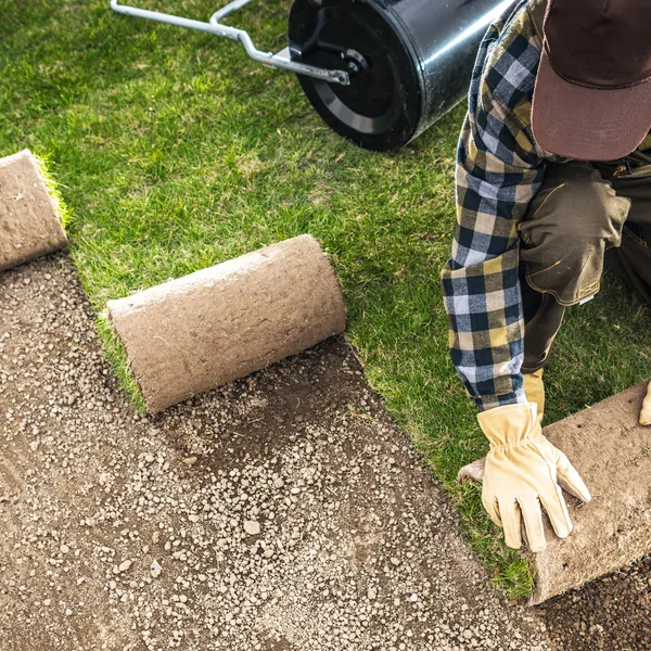Landscape service by Retailio Hardscape & Landscape