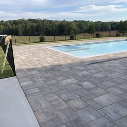 Garden with pavers and plants